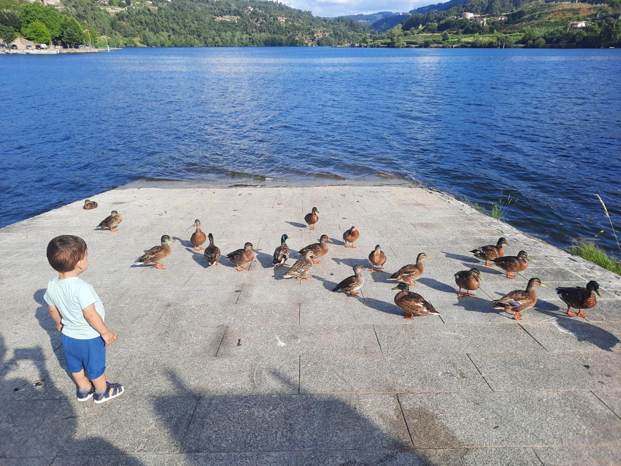 Burguesinha Al Entre-Os-Rios Daire Dış mekan fotoğraf