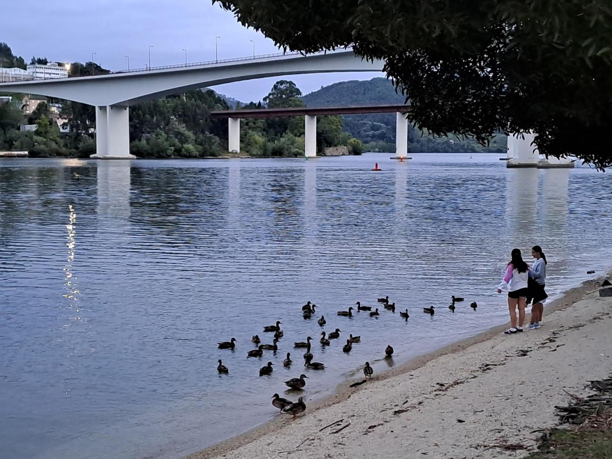 Burguesinha Al Entre-Os-Rios Daire Dış mekan fotoğraf